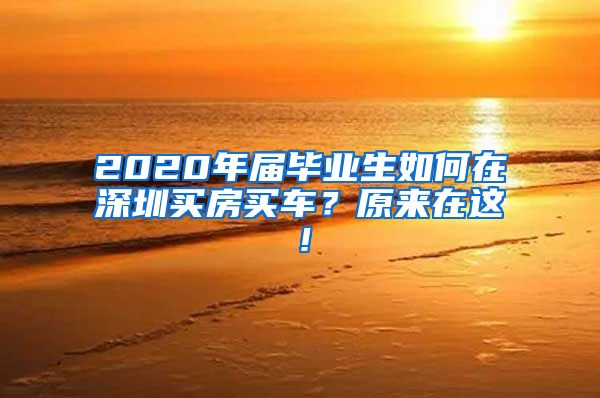 2020年届毕业生如何在深圳买房买车？原来在这！