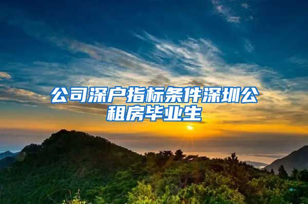 公司深户指标条件深圳公租房毕业生