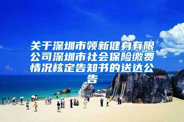 关于深圳市领新健身有限公司深圳市社会保险缴费情况核定告知书的送达公告