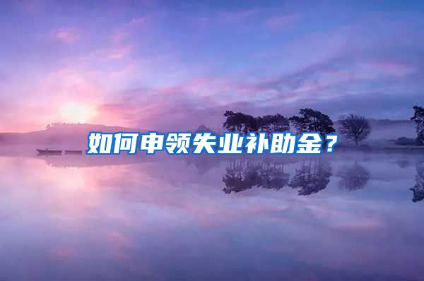 如何申领失业补助金？