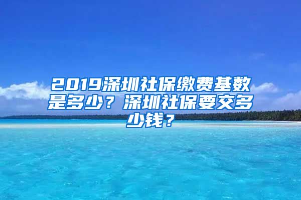 2019深圳社保缴费基数是多少？深圳社保要交多少钱？