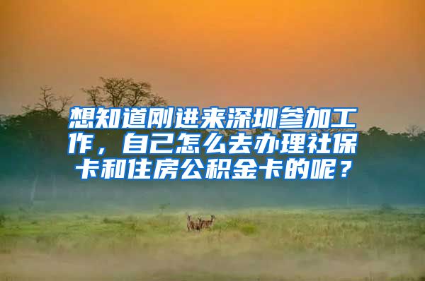 想知道刚进来深圳参加工作，自己怎么去办理社保卡和住房公积金卡的呢？