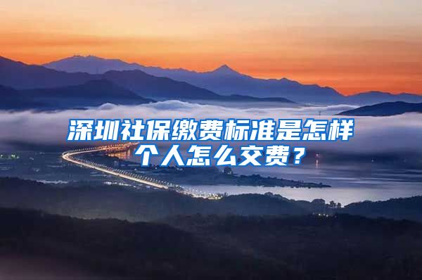 深圳社保缴费标准是怎样 个人怎么交费？