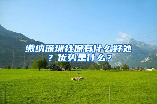 缴纳深圳社保有什么好处？优势是什么？