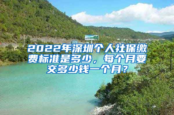 2022年深圳个人社保缴费标准是多少，每个月要交多少钱一个月？