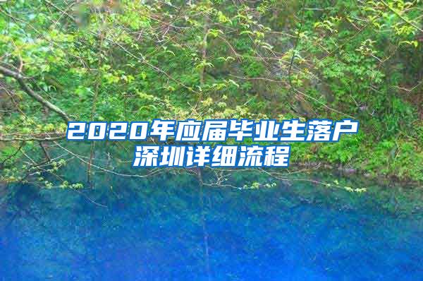 2020年应届毕业生落户深圳详细流程