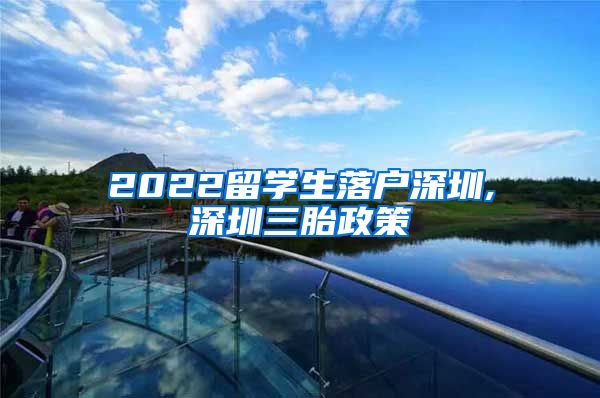 2022留学生落户深圳,深圳三胎政策