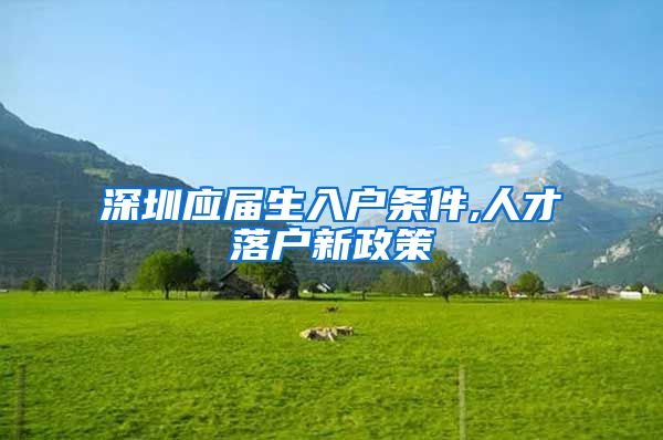 深圳应届生入户条件,人才落户新政策