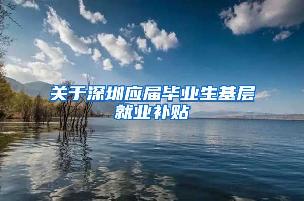 关于深圳应届毕业生基层就业补贴