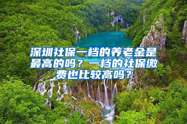 深圳社保一档的养老金是最高的吗？一档的社保缴费也比较高吗？