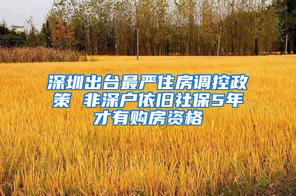 深圳出台最严住房调控政策 非深户依旧社保5年才有购房资格