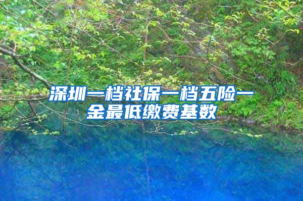 深圳一档社保一档五险一金最低缴费基数