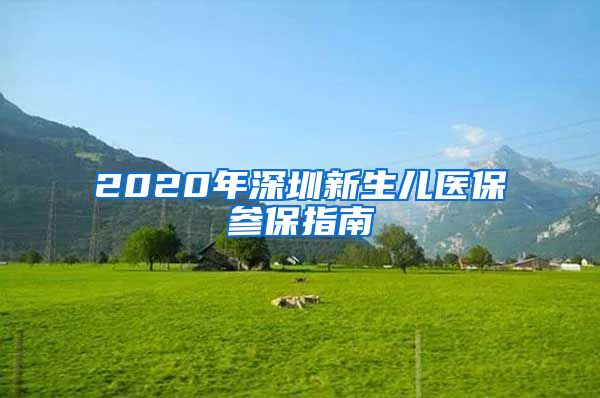 2020年深圳新生儿医保参保指南