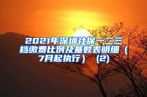 2021年深圳社保一二三档缴费比例及基数表明细（7月起执行） (2)