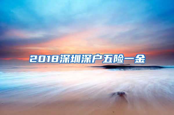 2018深圳深户五险一金