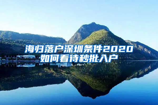 海归落户深圳条件2020如何看待秒批入户