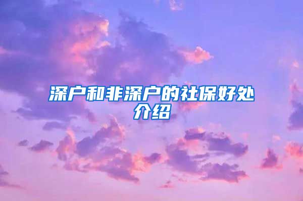 深户和非深户的社保好处介绍