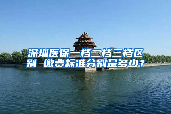 深圳医保一档二档三档区别 缴费标准分别是多少？