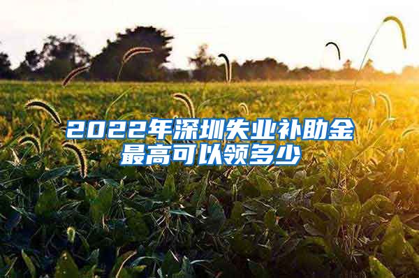 2022年深圳失业补助金最高可以领多少