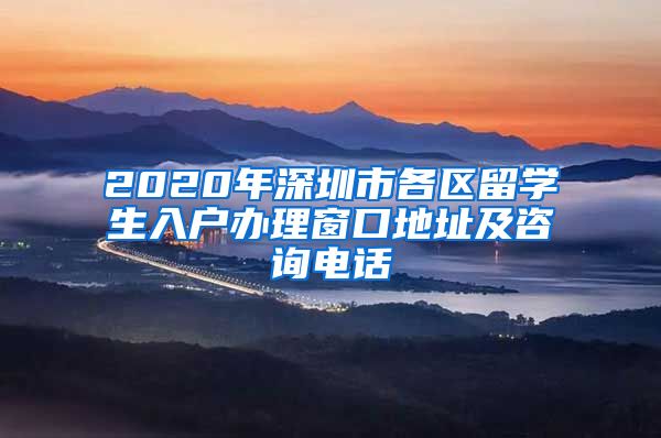 2020年深圳市各区留学生入户办理窗口地址及咨询电话