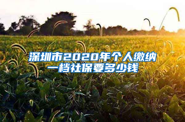 深圳市2020年个人缴纳一档社保要多少钱