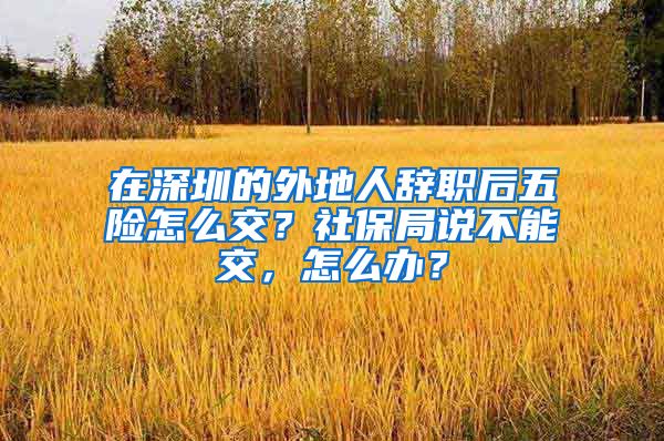 在深圳的外地人辞职后五险怎么交？社保局说不能交，怎么办？