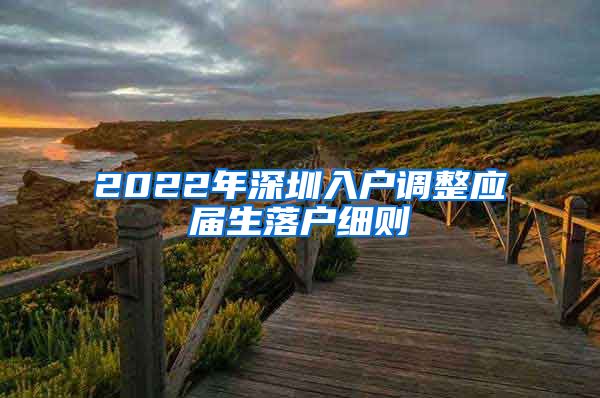 2022年深圳入户调整应届生落户细则