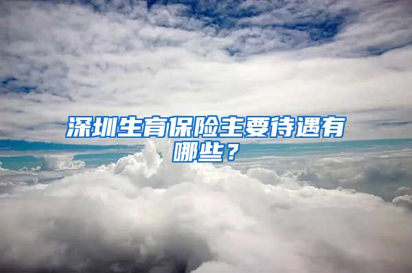 深圳生育保险主要待遇有哪些？