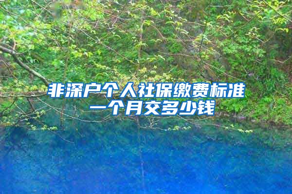 非深户个人社保缴费标准 一个月交多少钱