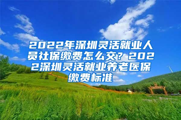 2022年深圳灵活就业人员社保缴费怎么交？2022深圳灵活就业养老医保缴费标准