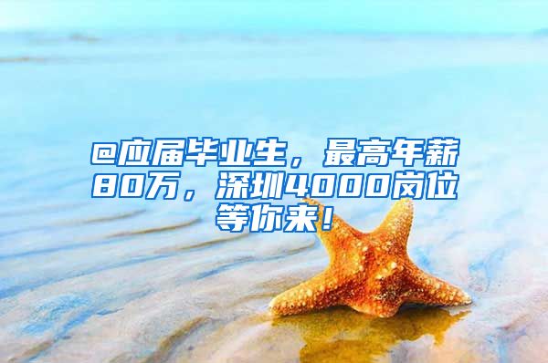 @应届毕业生，最高年薪80万，深圳4000岗位等你来！