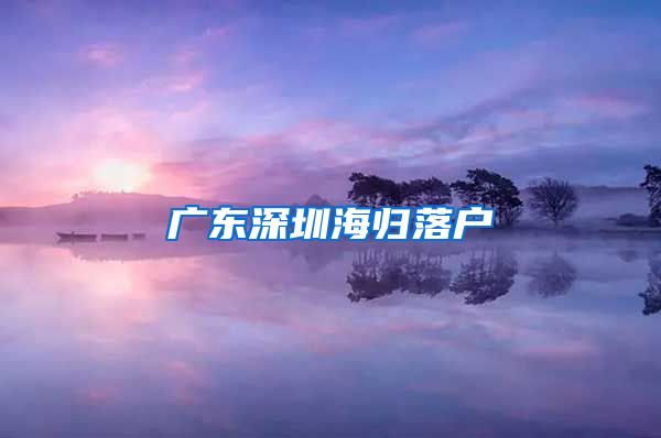 广东深圳海归落户