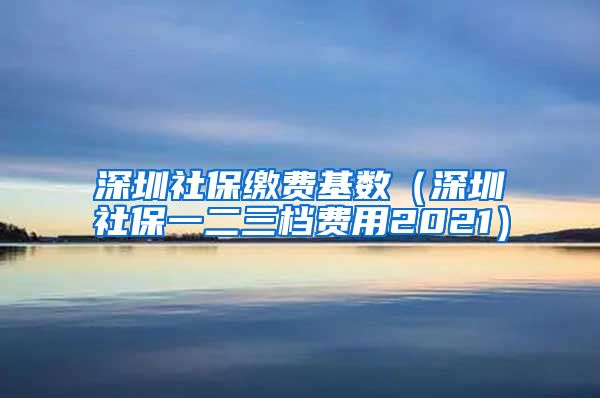 深圳社保缴费基数（深圳社保一二三档费用2021）