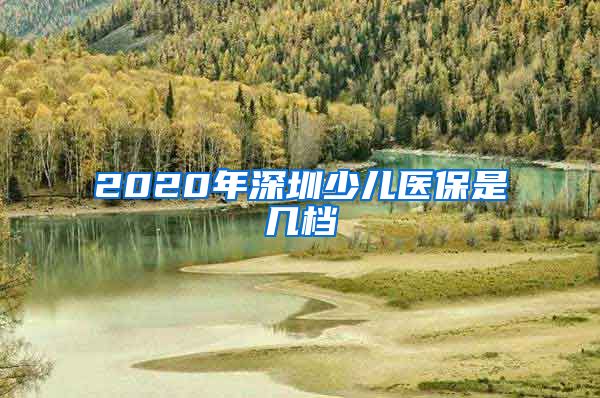 2020年深圳少儿医保是几档