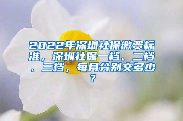 2022年深圳社保缴费标准，深圳社保一档、二档、三档，每月分别交多少？