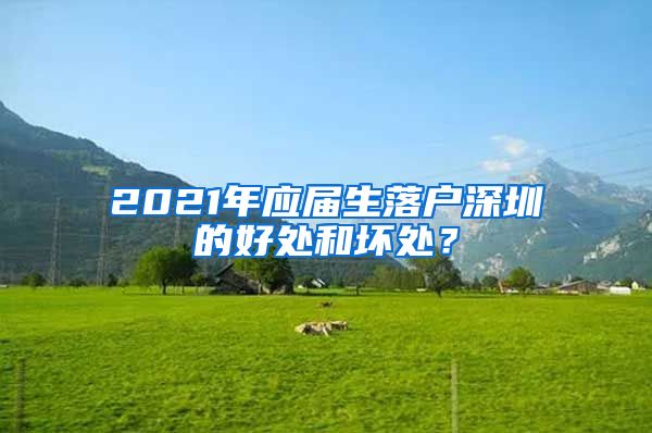 2021年应届生落户深圳的好处和坏处？