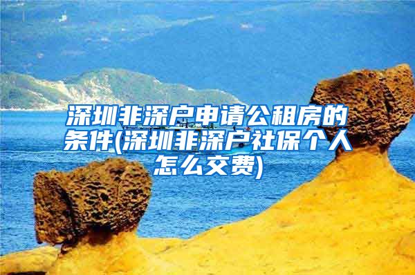 深圳非深户申请公租房的条件(深圳非深户社保个人怎么交费)