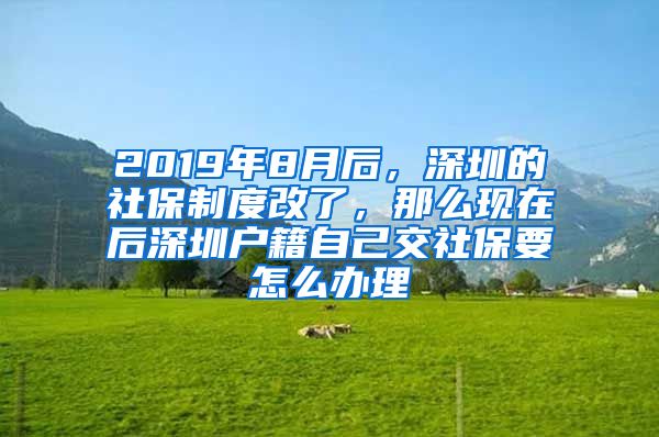 2019年8月后，深圳的社保制度改了，那么现在后深圳户籍自己交社保要怎么办理