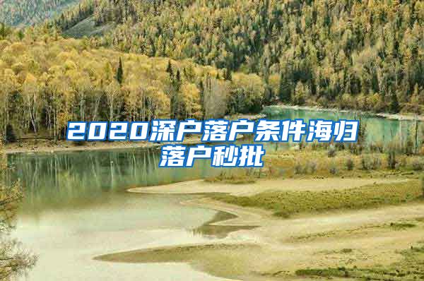 2020深户落户条件海归落户秒批