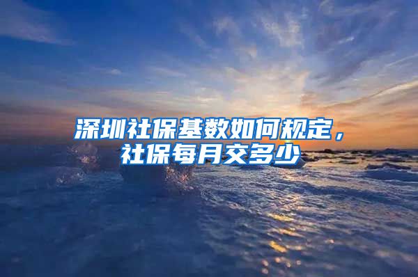 深圳社保基数如何规定，社保每月交多少