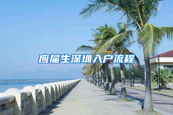 应届生深圳入户流程