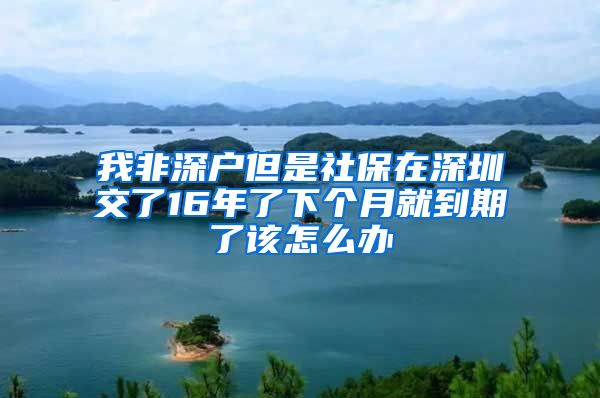 我非深户但是社保在深圳交了16年了下个月就到期了该怎么办