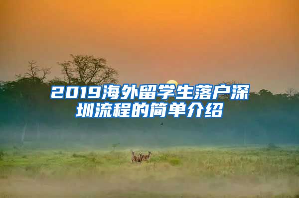 2019海外留学生落户深圳流程的简单介绍