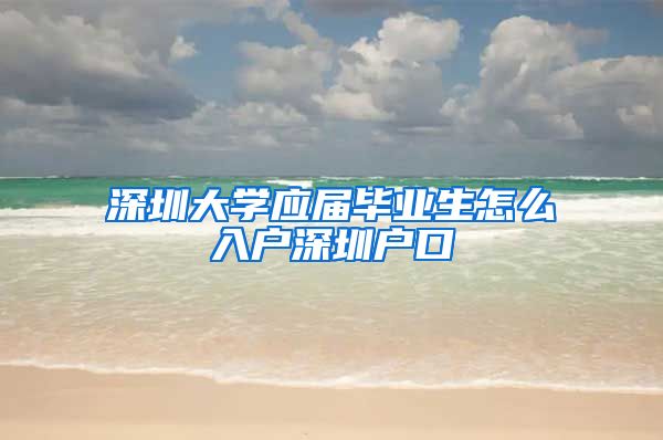 深圳大学应届毕业生怎么入户深圳户口