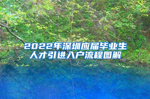 2022年深圳应届毕业生人才引进入户流程图解