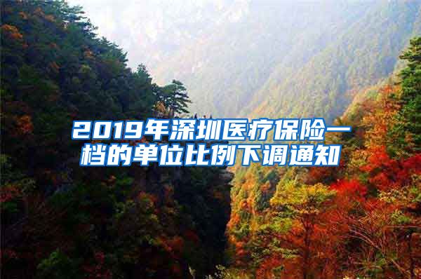 2019年深圳医疗保险一档的单位比例下调通知