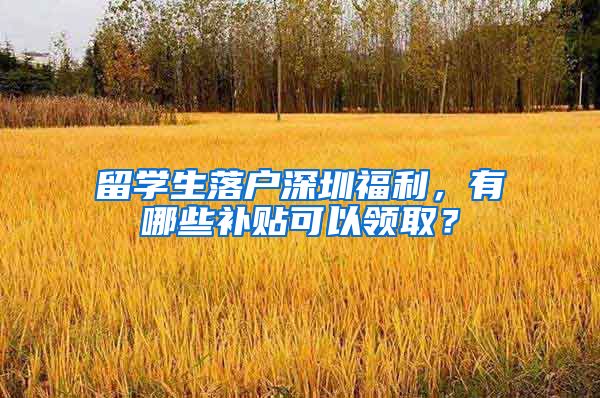 留学生落户深圳福利，有哪些补贴可以领取？