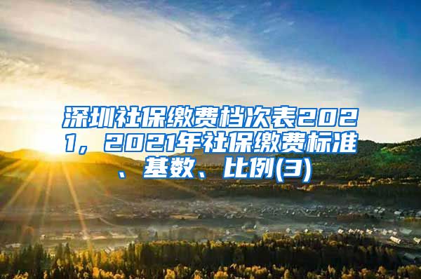 深圳社保缴费档次表2021，2021年社保缴费标准、基数、比例(3)