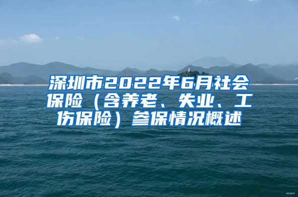 深圳市2022年6月社会保险（含养老、失业、工伤保险）参保情况概述