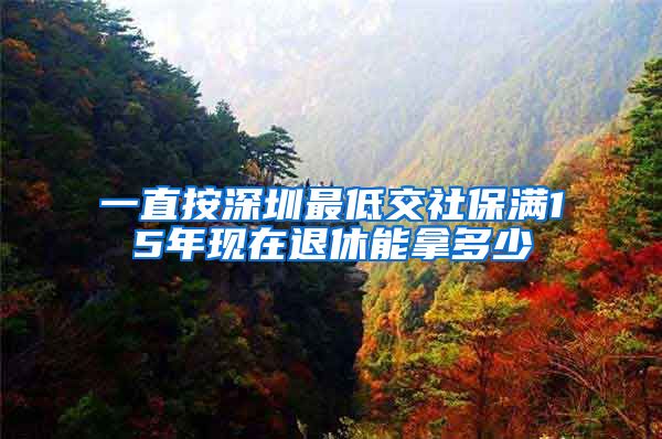 一直按深圳最低交社保满15年现在退休能拿多少